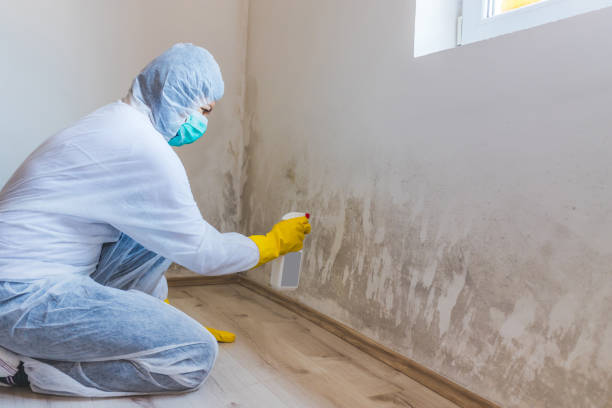 Licensed Mold Remediation service in Bethesda, MD - 24 Hour Mold Removal
