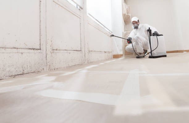 24/7 Emergency Mold Remediation experts in Bethesda, MD