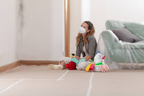 Reliable Mold Remediation contractor in Bethesda, MD by 24 Hour Mold Removal
