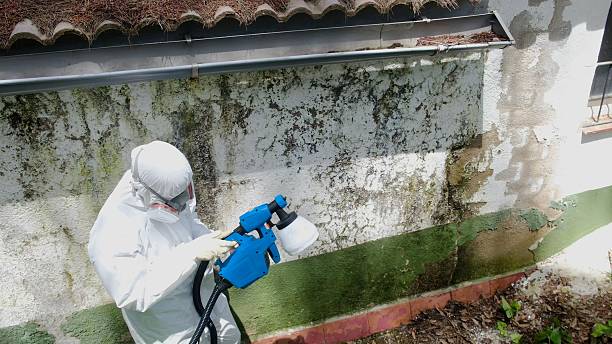 Top rated local Mold Remediation specialists in Bethesda, MD